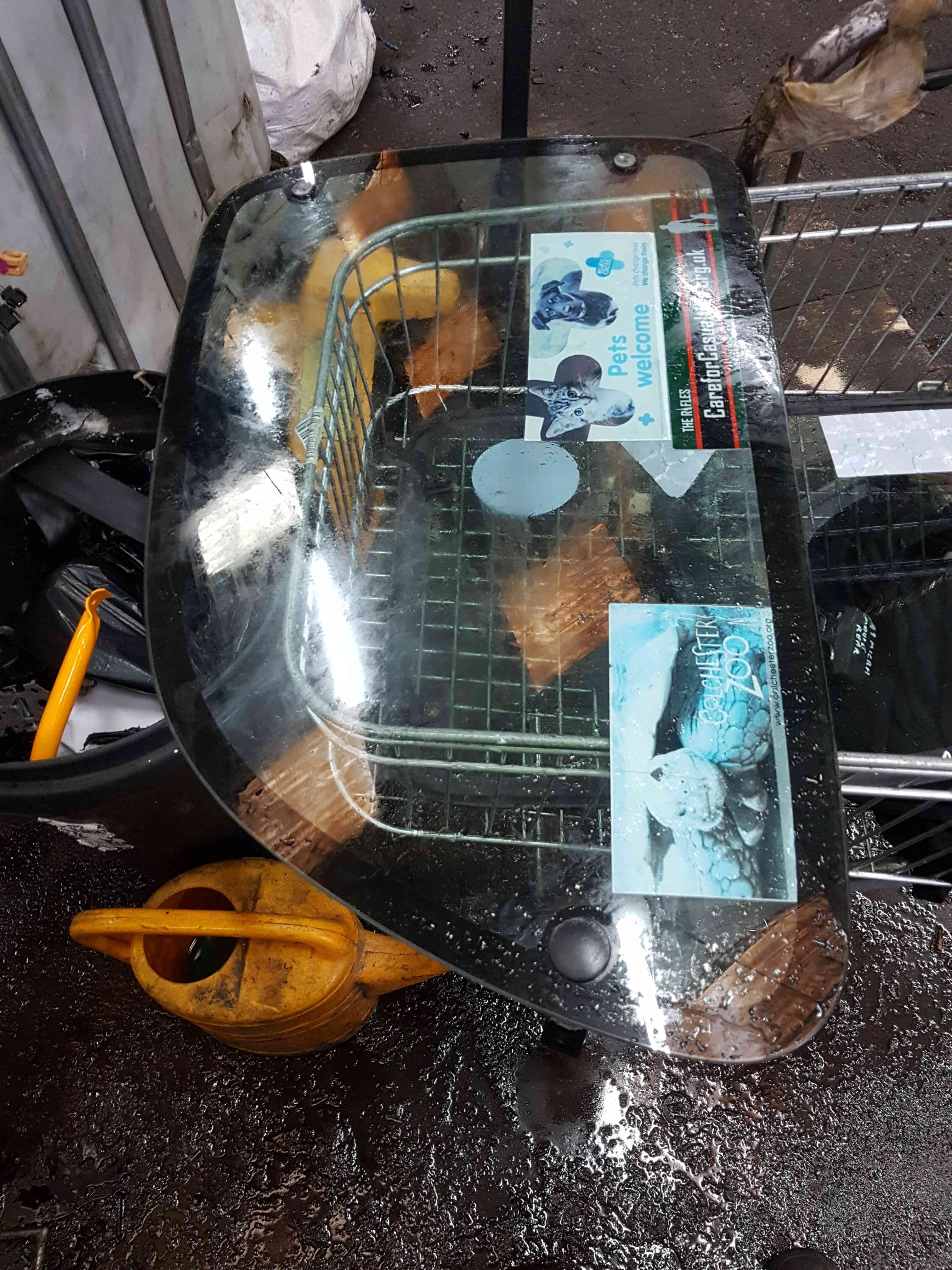 Thumb 2 Nissan Micra K11 1998-2002 Drivers OSR Rear Window Glass 3dr