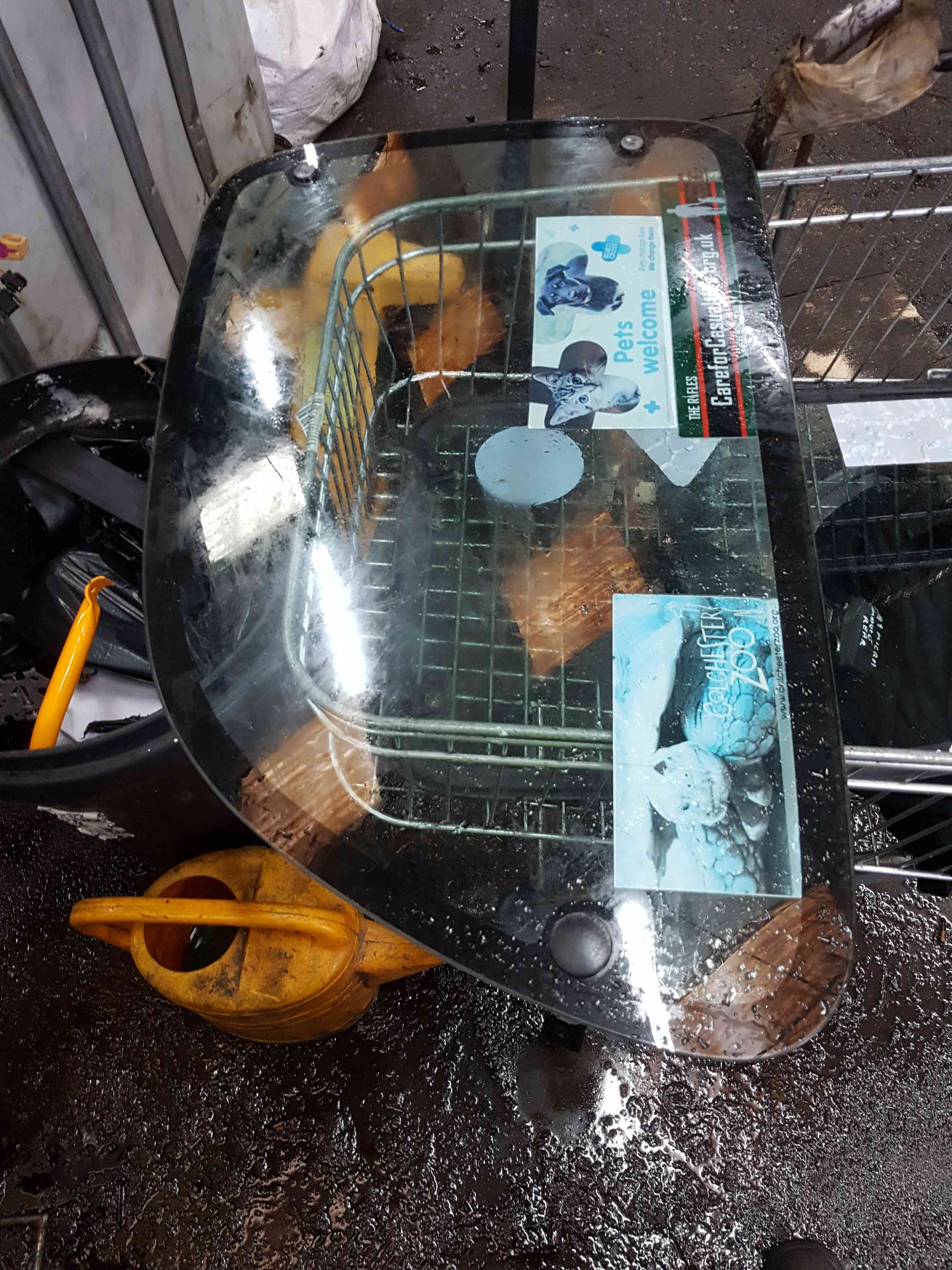 Thumb 3 Nissan Micra K11 1998-2002 Drivers OSR Rear Window Glass 3dr