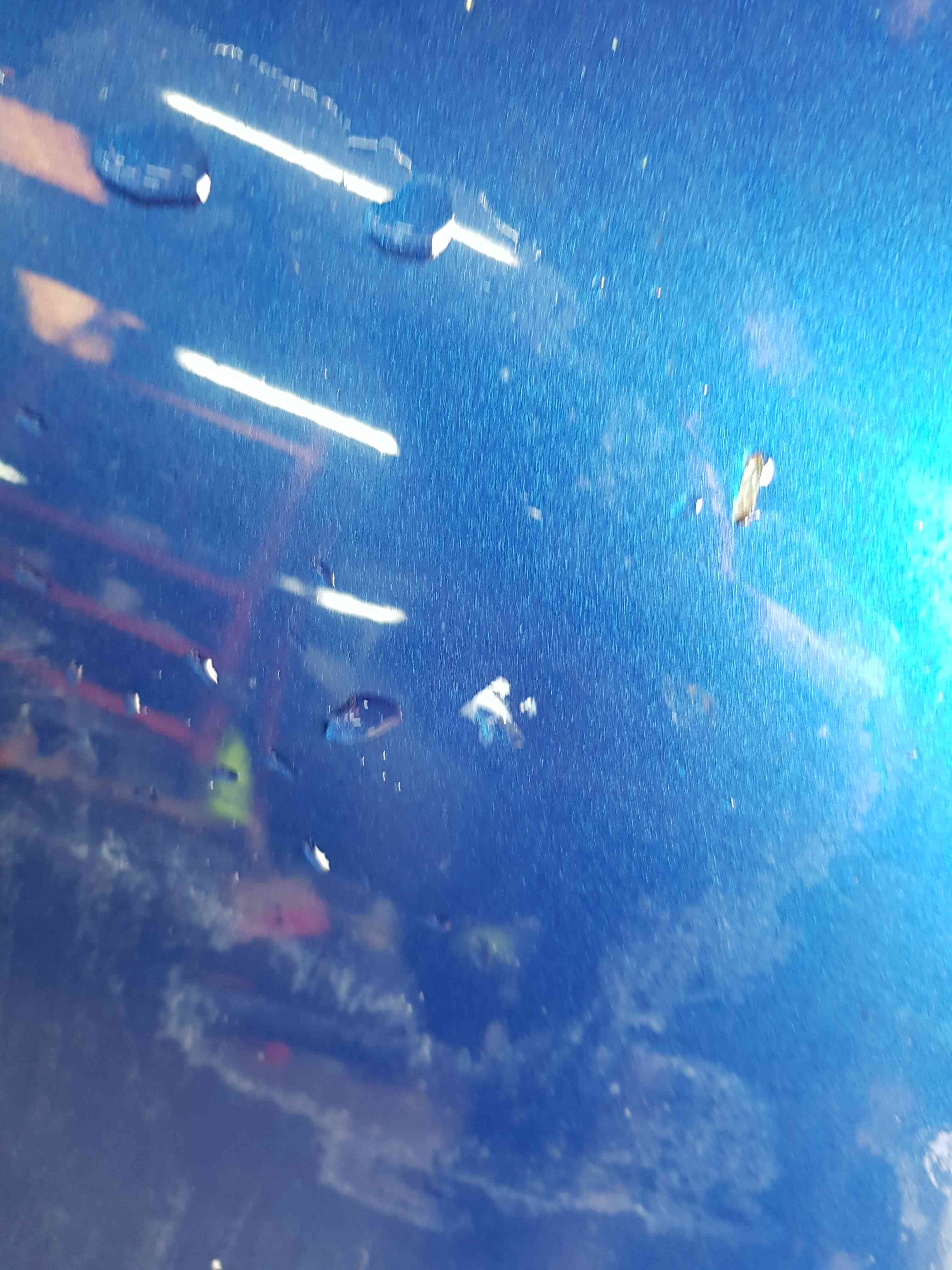 Thumb 3 Nissan Micra K13 2010-2017 Drivers OSF Front Door Blue B53 5Dr