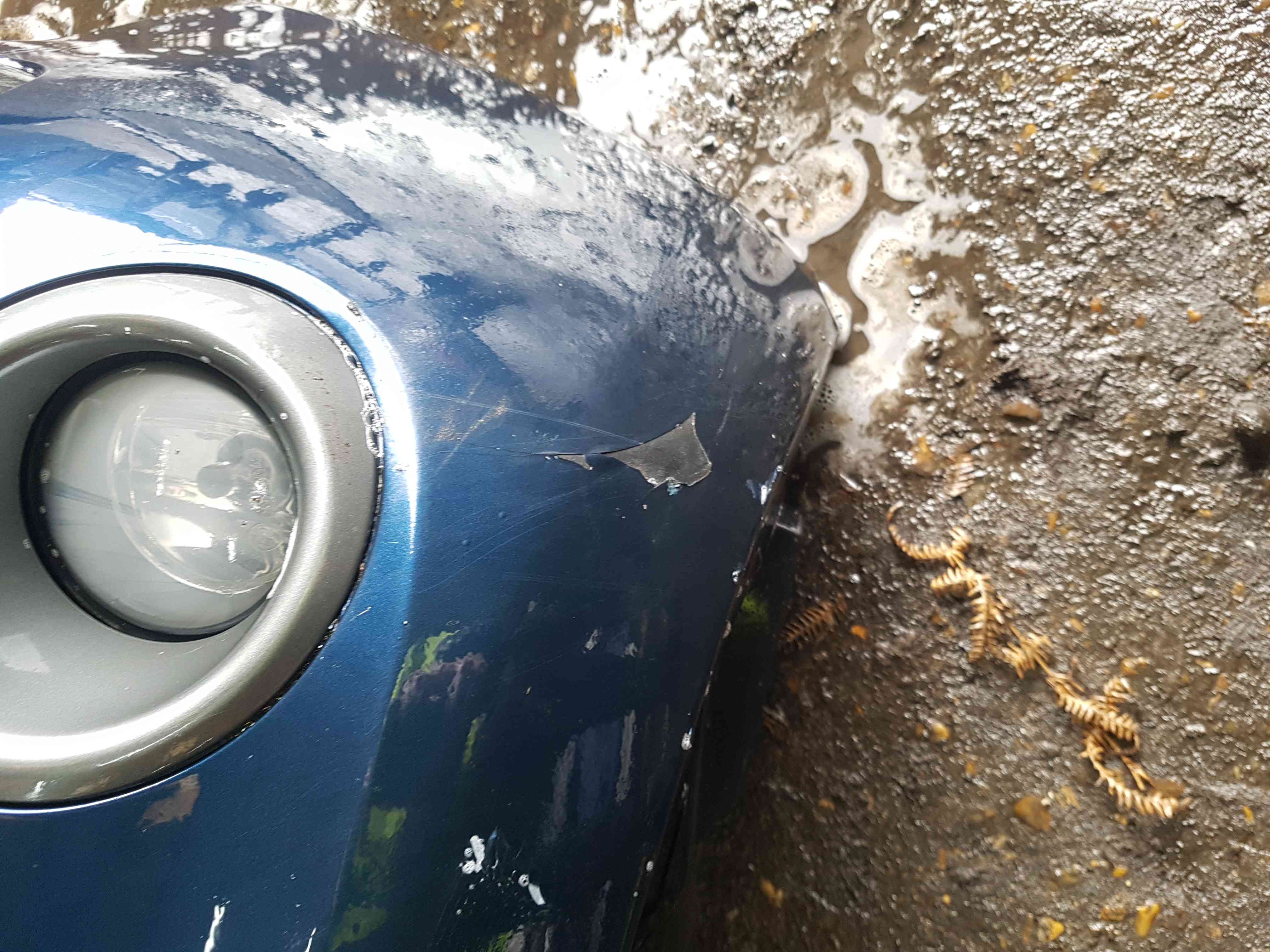 Thumb 11 Nissan Note E11 2005-2012 Front Bumper Blue BW9