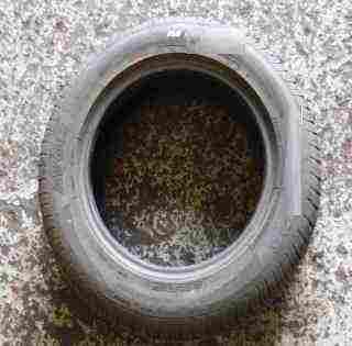Part Worn Tyre 195 65 15 5mm