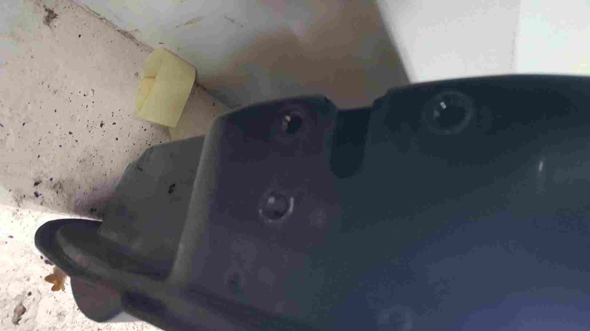 Thumb 5 Renault Clio MK2 2001-2006 Driver OSF OS Front Door Black 676 3Dr