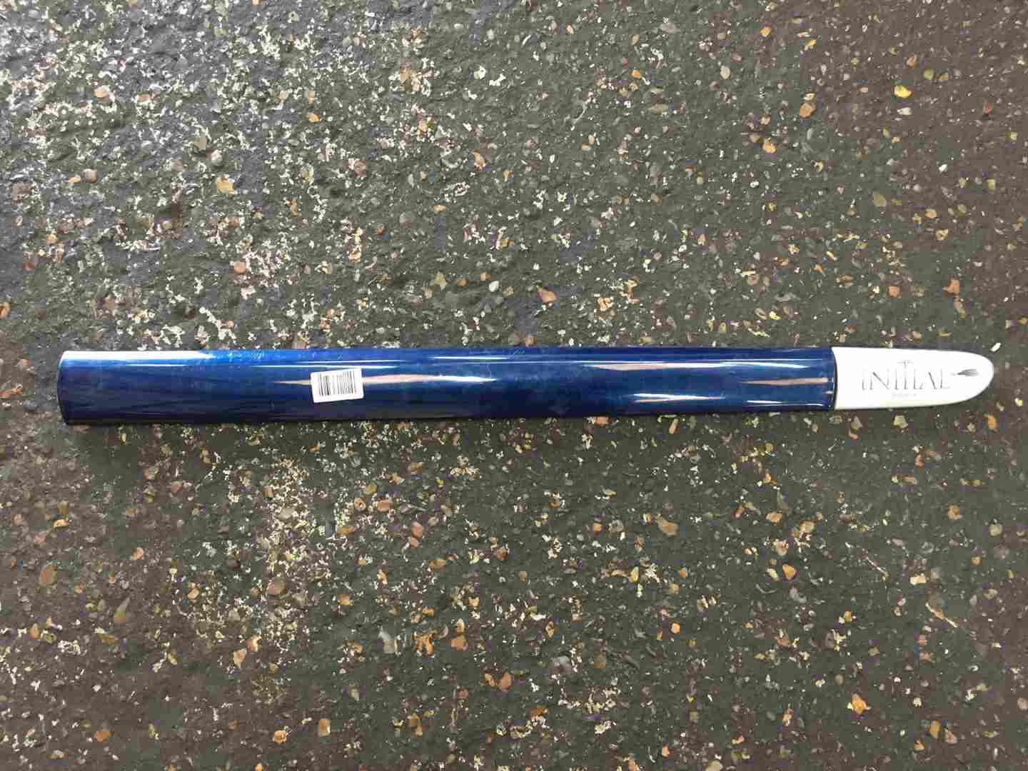 Renault Clio MK2 2001-2006 Initiale Drivers OSF Front Door Moulding Blue D44 5dr