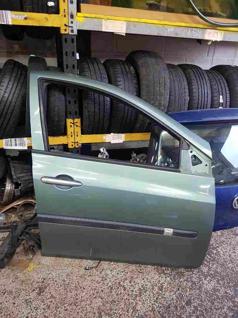 Renault Clio MK3 2005-2009 Drivers OSF Front Door Green Ted97 5Dr