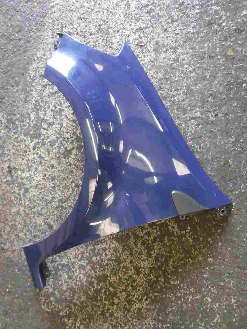 Renault Clio MK3 2005-2009 Passenger NS Wing Blue 460 195