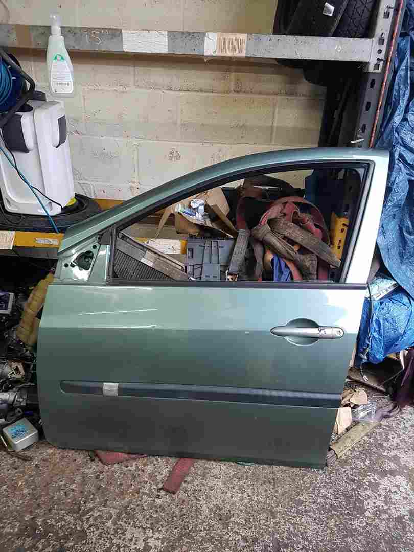 Renault Clio MK3 2005-2009 Passenger NSF Front Door Green Ted97 5Dr