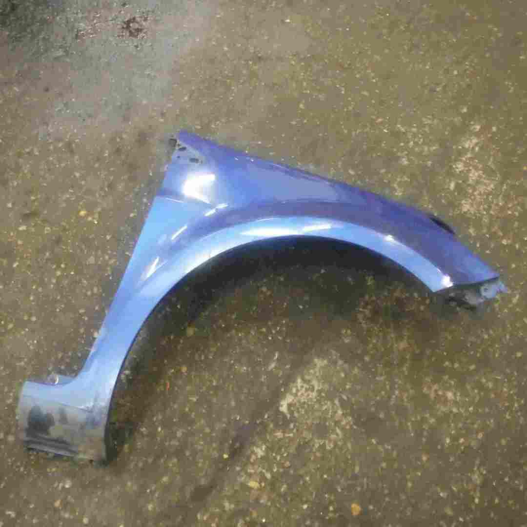 Renault Clio MK3 2005-2012 Drivers OS Wing Blue TEI45 TE145 195