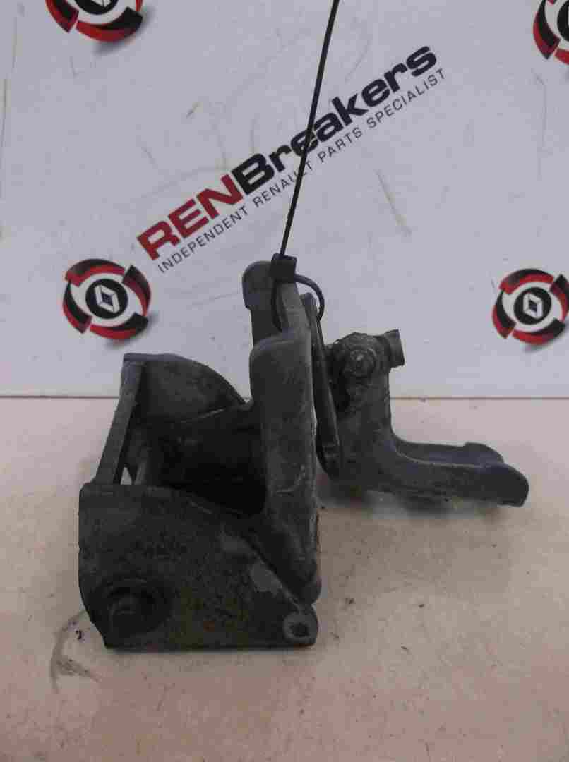 Renault Clio MK3 2005-2012 Drivers OSF Front Door Hinges Purple Blue TEJ47