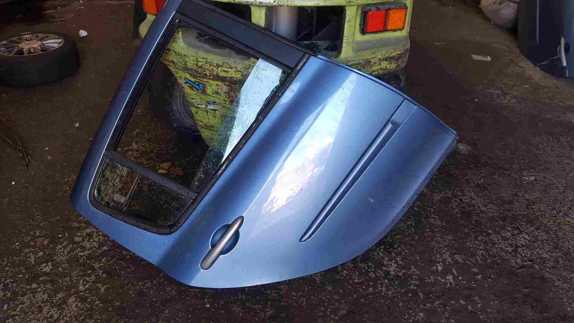 Renault Clio MK3 2005-2012 Drivers OSR Rear Door Blue Ternl