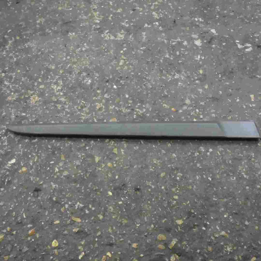 Renault Clio MK3 2005-2012 Drivers OSR Rear Door Moulding 5dr