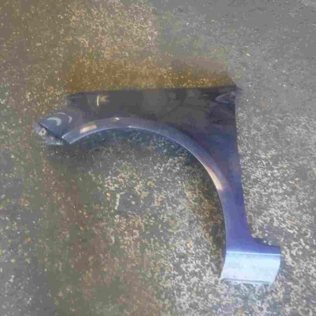 Renault Clio MK3 2005-2012 Passenger NS Wing Blue 432 185