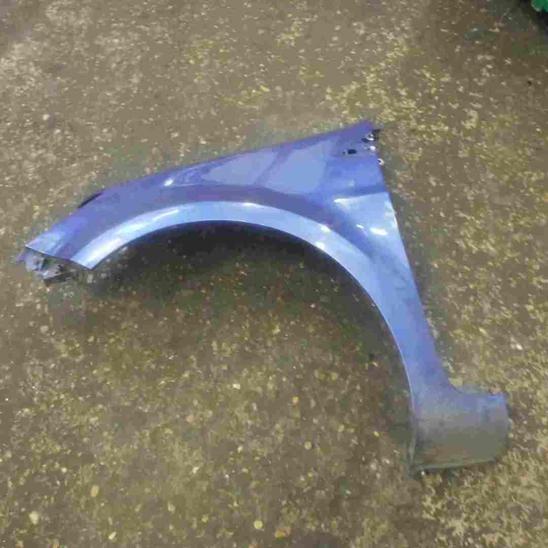 Renault Clio MK3 2005-2012 Passenger NS Wing Blue TEI45 TE145 195