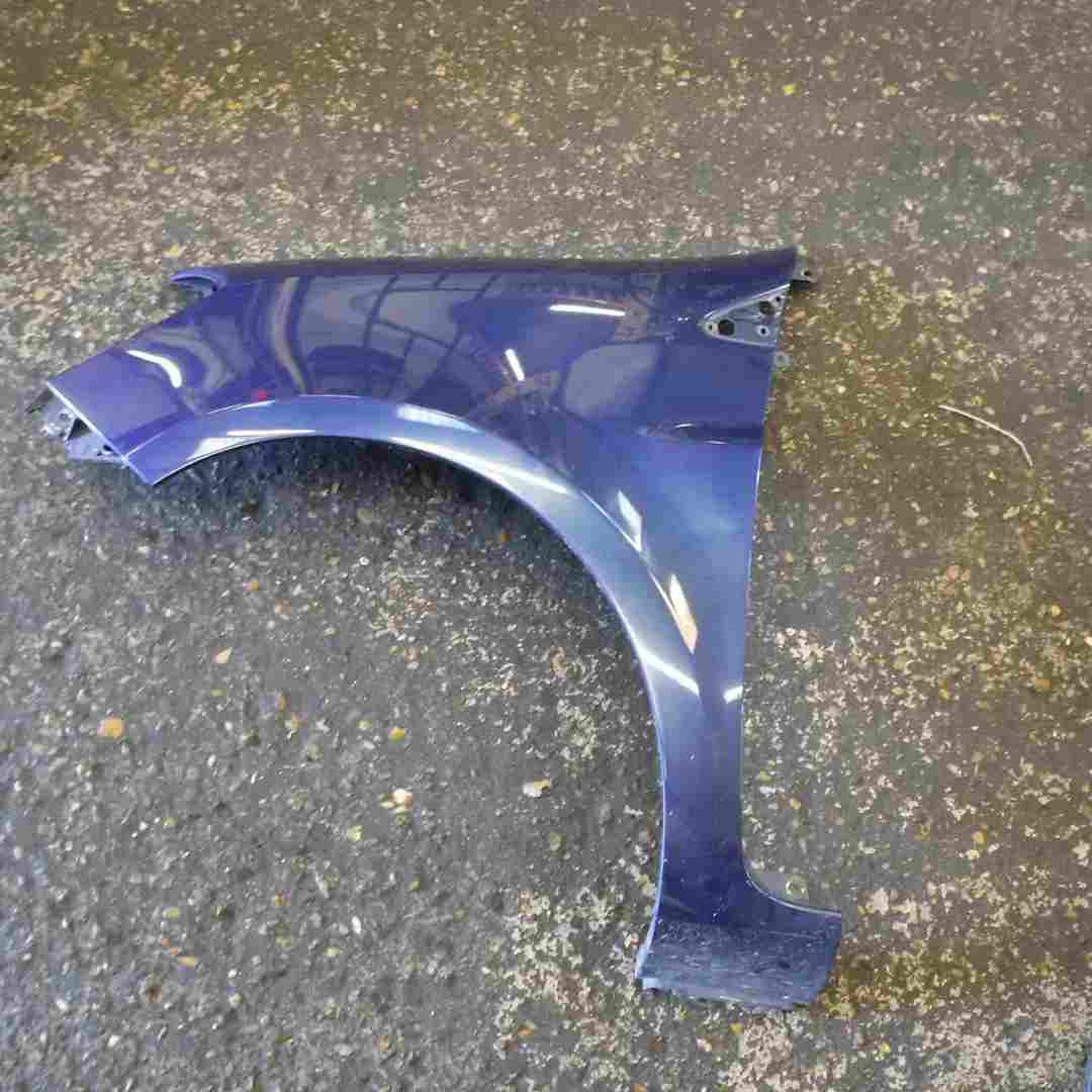 Renault Clio MK3 2005-2012 Passenger NS Wing Blue 432 185