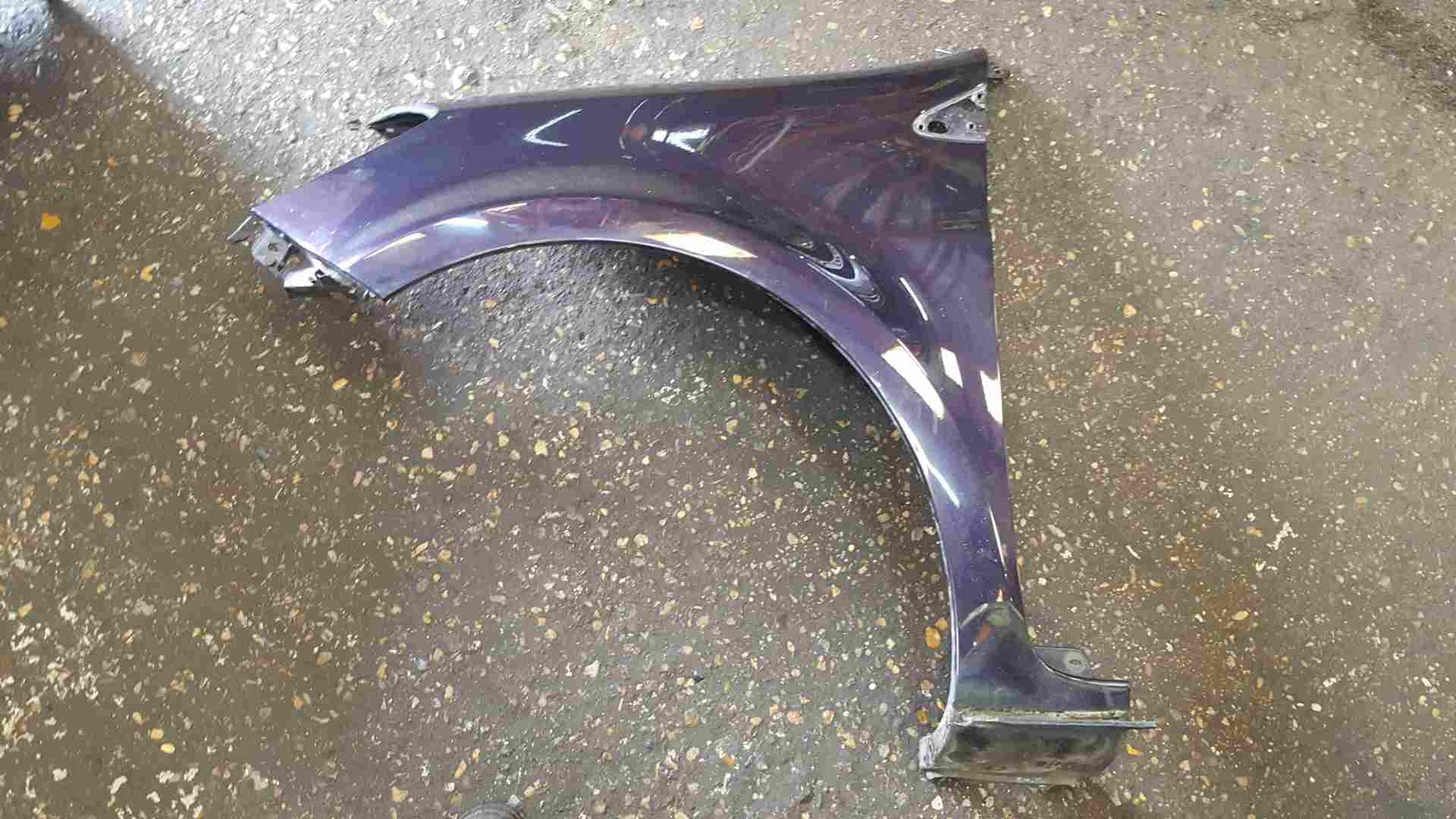 Renault Clio MK3 2005-2012 Passenger NS Wing Purple TE268 195