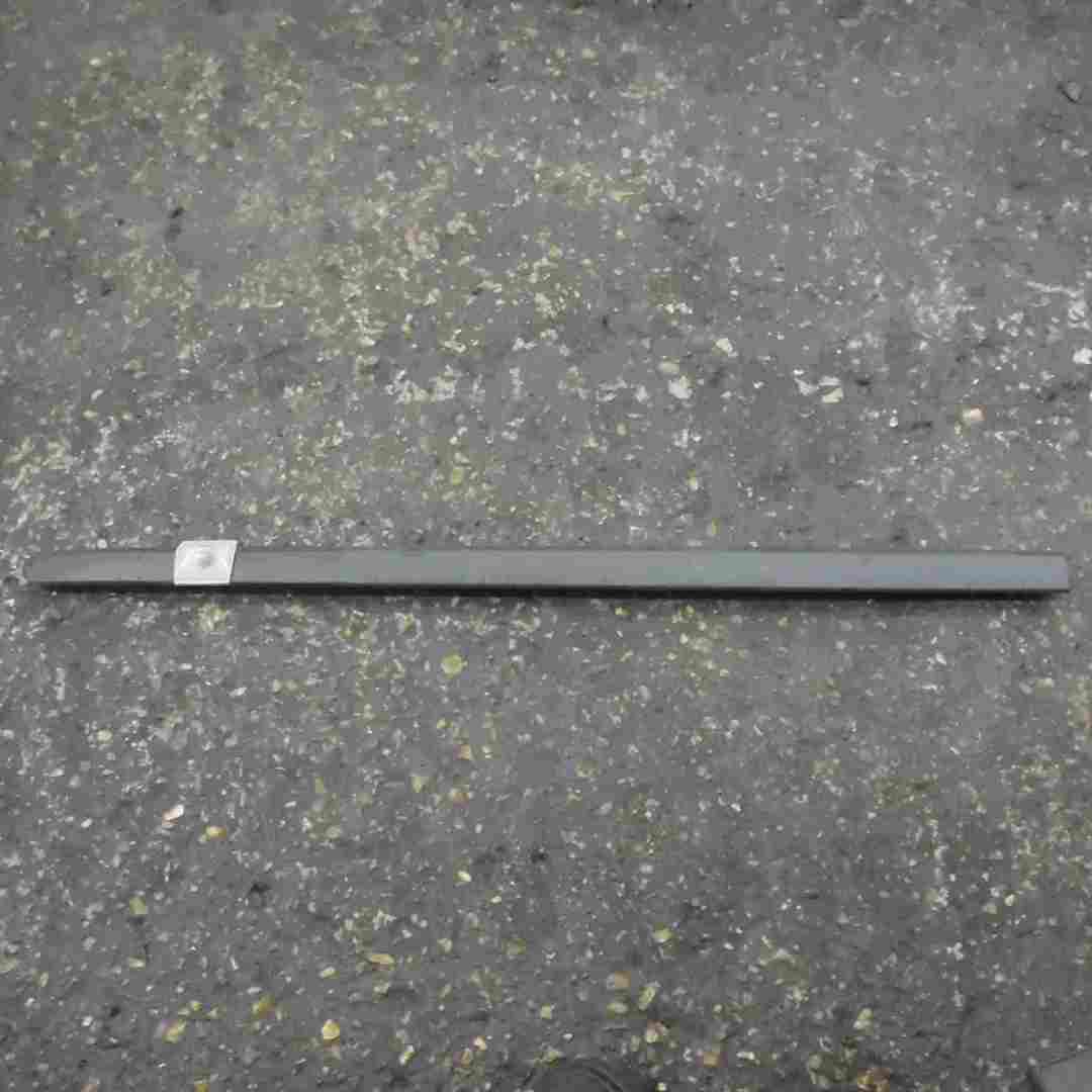 Renault Clio MK3 2005-2012 Passenger NSF Front Door Moulding Trim 5door