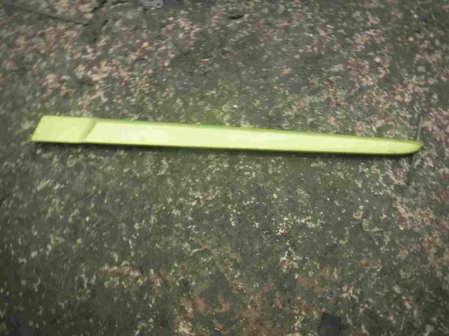 Renault Clio MK3 2005-2012 Passenger NSR Rear Door Moulding Trim 5dr Green TEDNQ