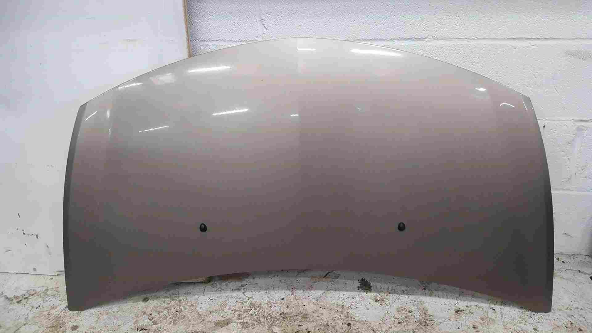 Thumb 2 Renault Clio MK3 2009-2012 Front Bonnet Beige Gold Tehnk