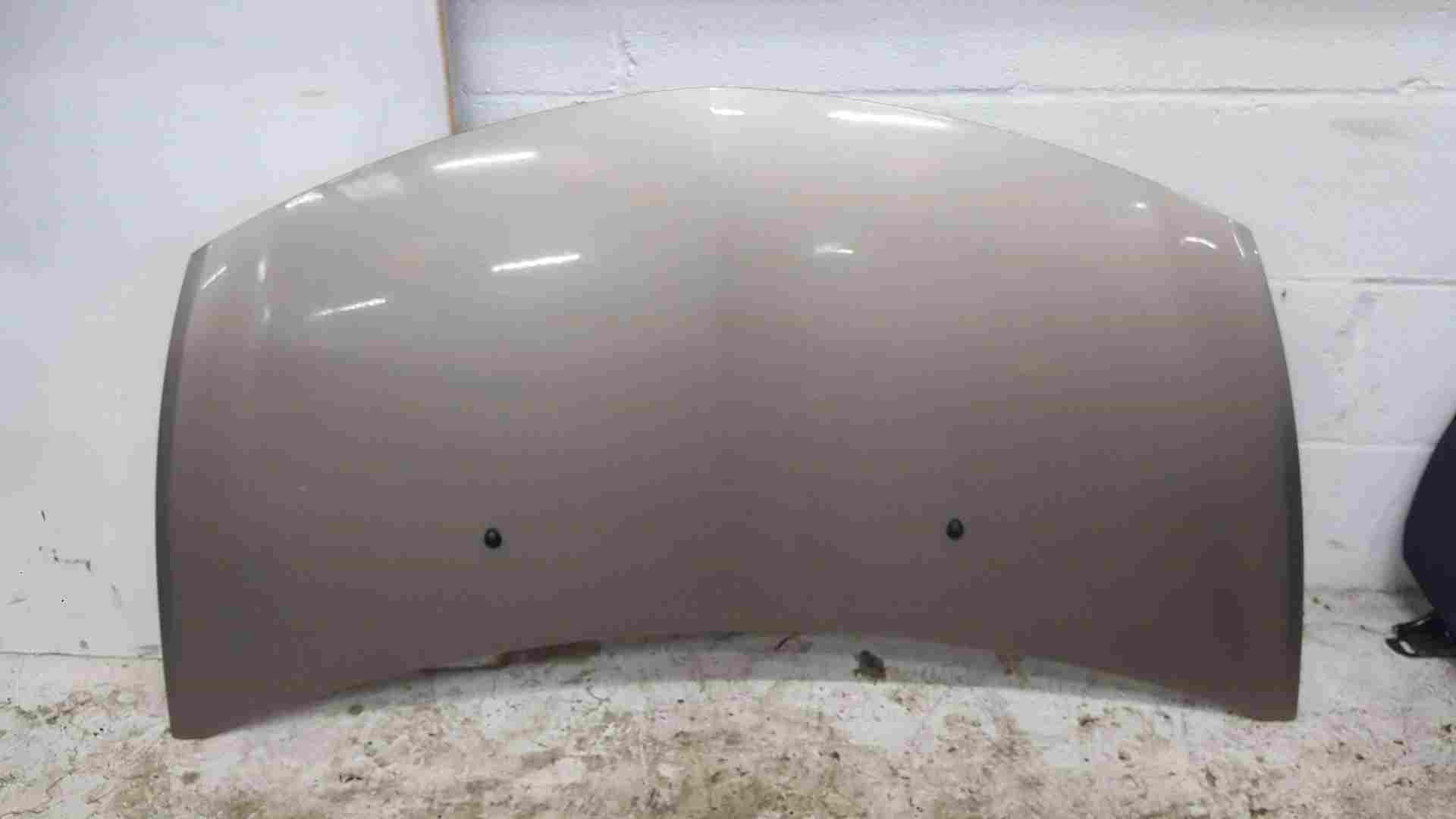 Renault Clio MK3 2009-2012 Front Bonnet Beige Gold Tehnk