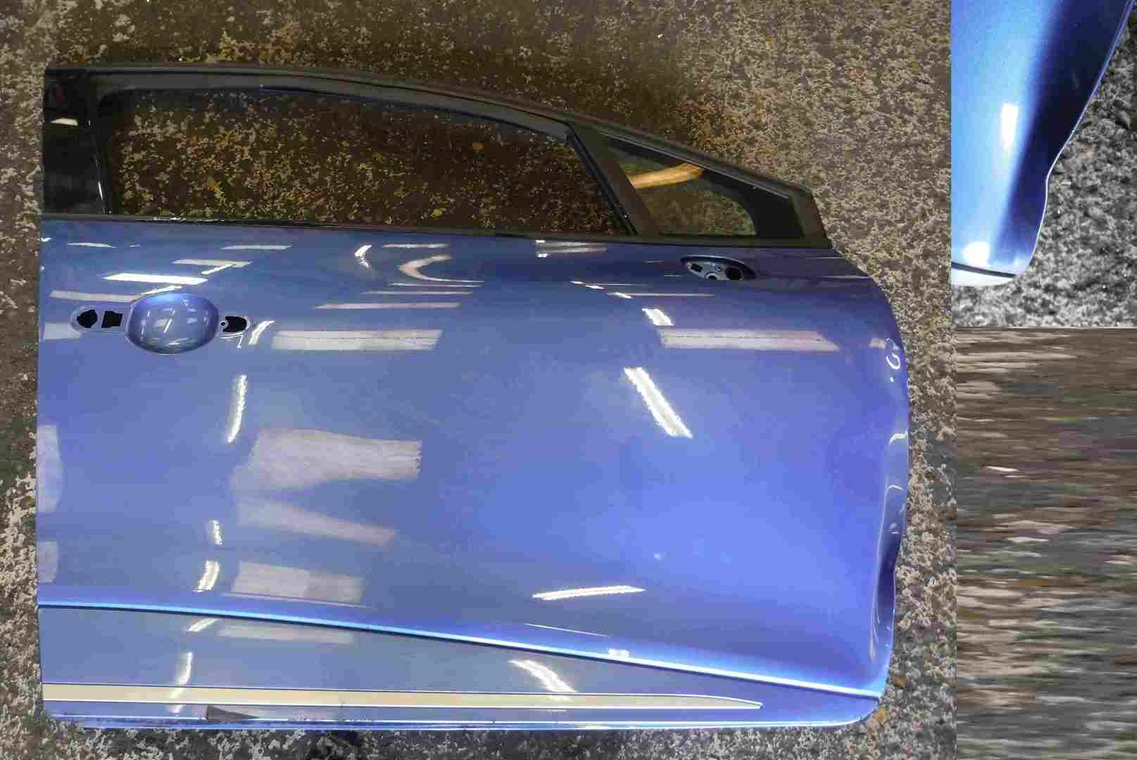 Renault Clio MK4 2013-2019 Drivers OSF Front Door Blue TERNT