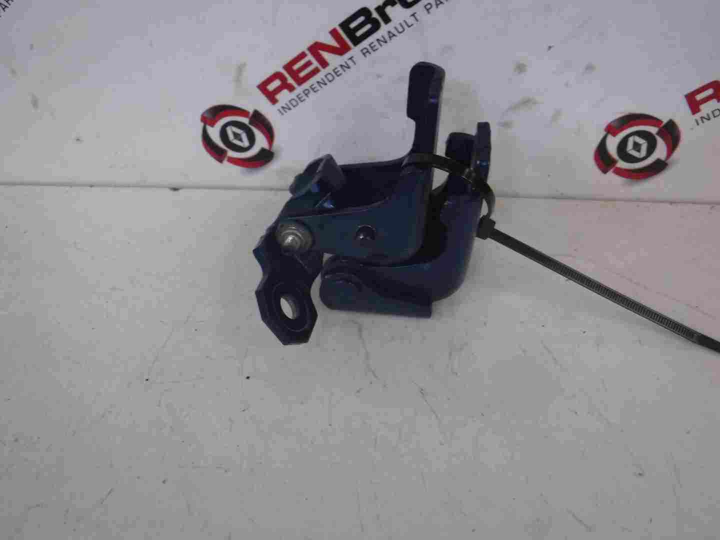 Renault Clio MK4 2013-2018 Drivers OSR Rear Door Hinges Blue TERQH