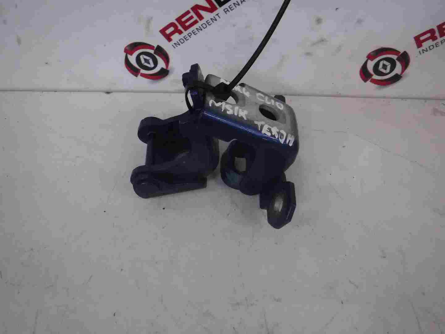 Renault Clio MK4 2013-2018 Passenger NSR Rear Door Hinges Blue TERQH