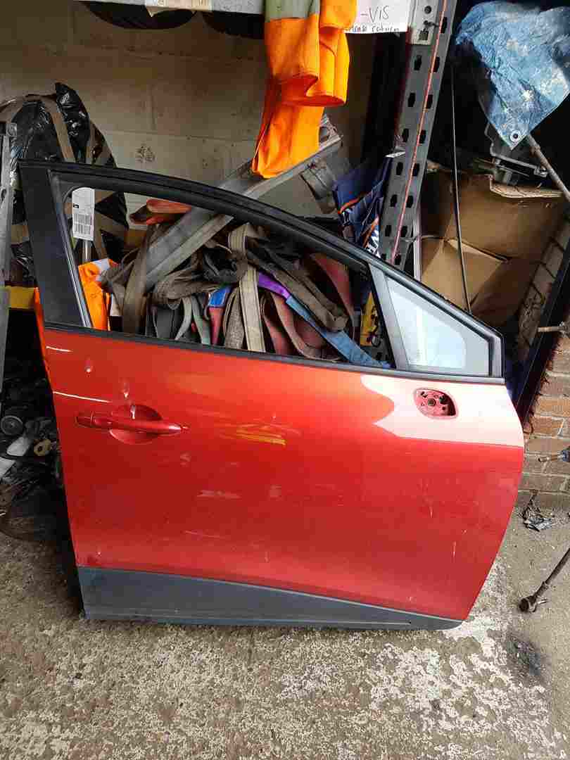 Renault Clio MK4 2013-2019 Drivers OSF Front Door RED Tennp