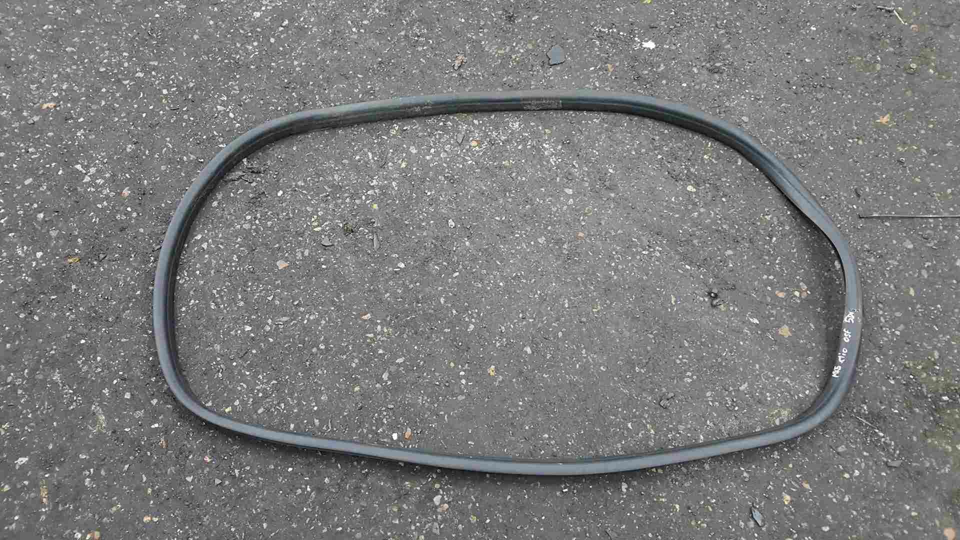 Renault Clio MK5 20192021 Drivers OSF Front Door Rubber Seal Store