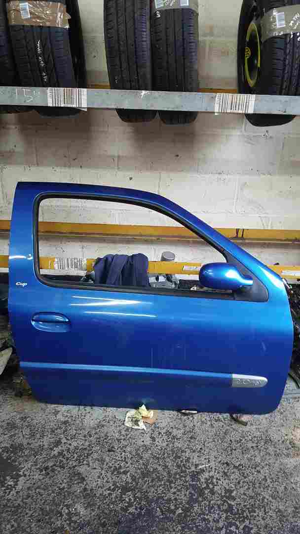 Renault Clio Sport 2001-2006 172 182 Drivers OSF Front Door Blue Ted43