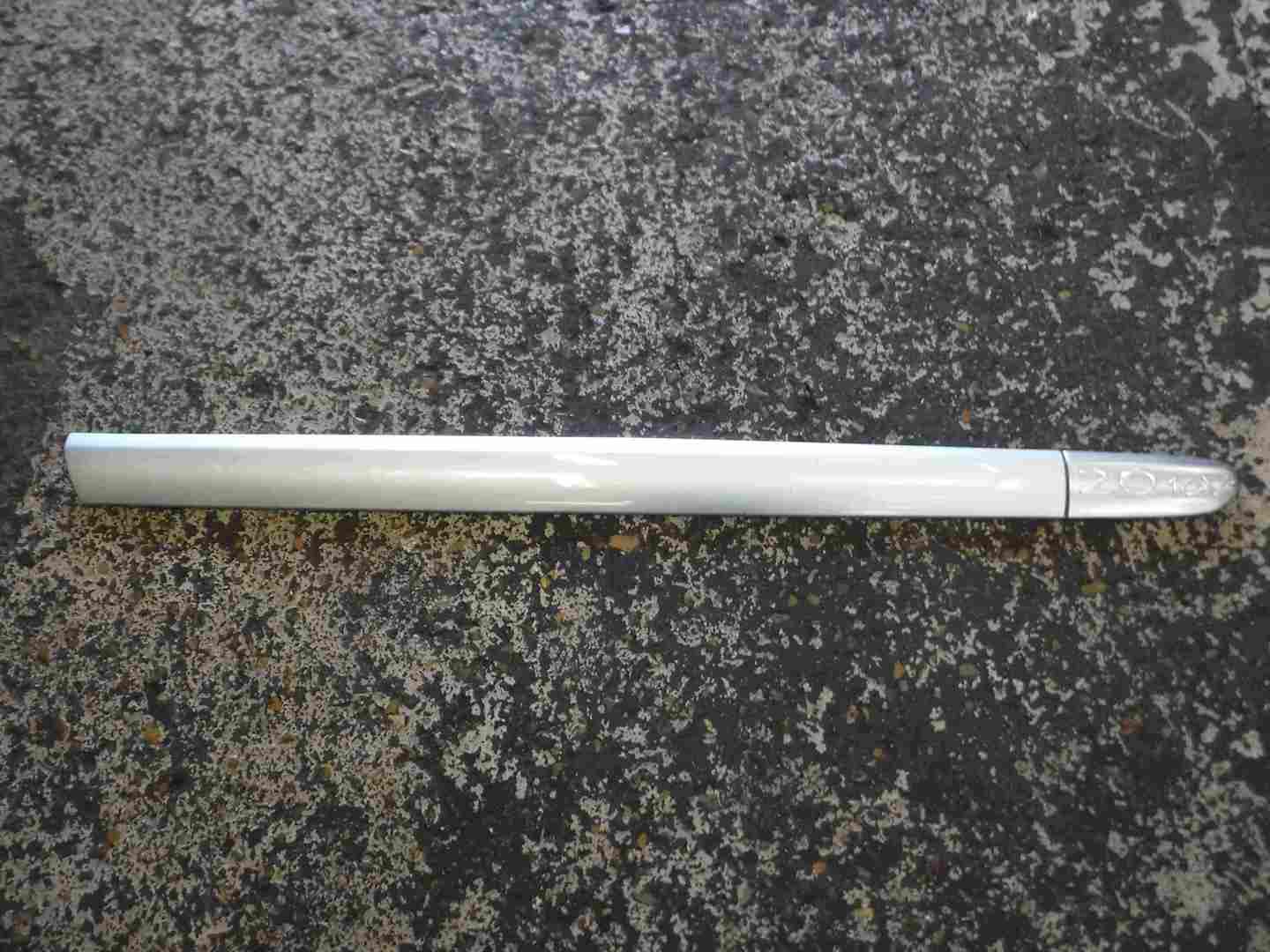 Renault Clio Sport 2001-2006 172 182 Drivers OSF Front Door Moulding Silver 640