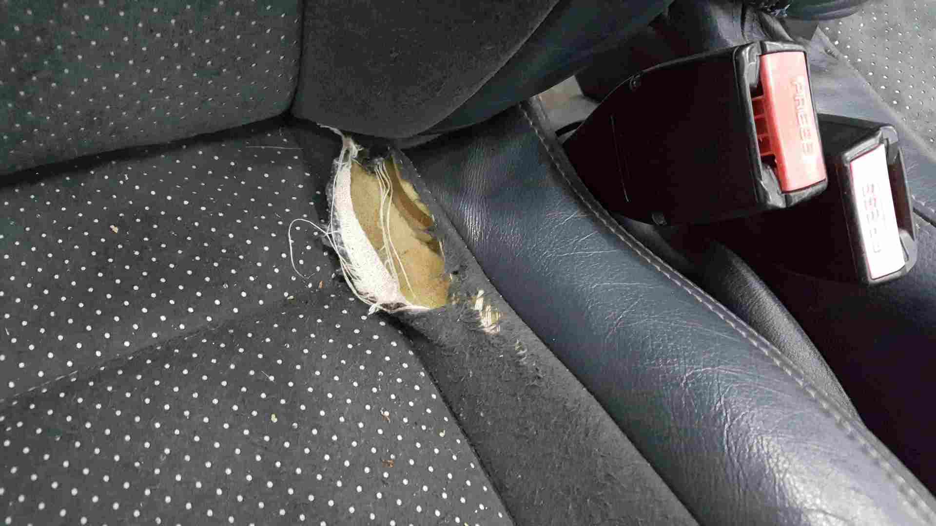 Thumb 2 Renault Clio Sport 2001-2006 172 182 Full Interior Rear Front Seats