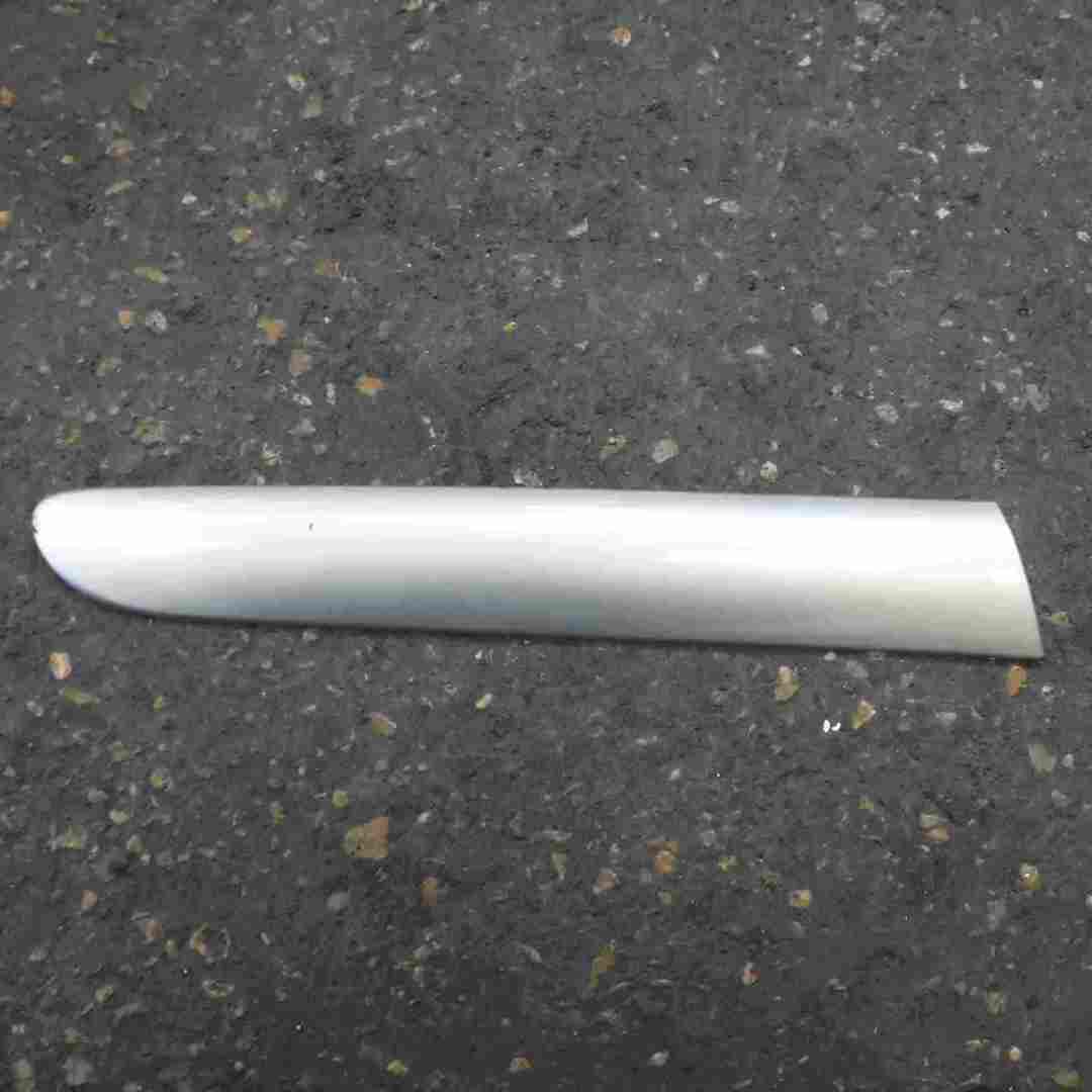 Renault Clio Sport 2001-2006 Drivers OSR Rear Door Moulding Trim Silver 640
