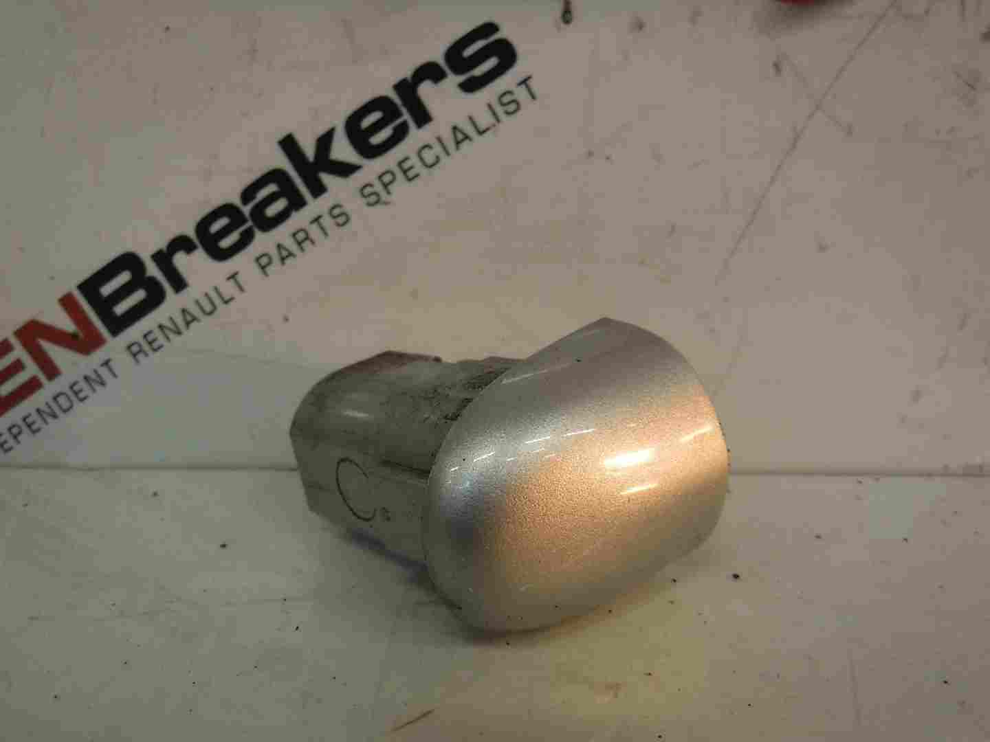 Renault Espace 2003-2013 Drivers OSF Front Door Insert Cap Silver TED69