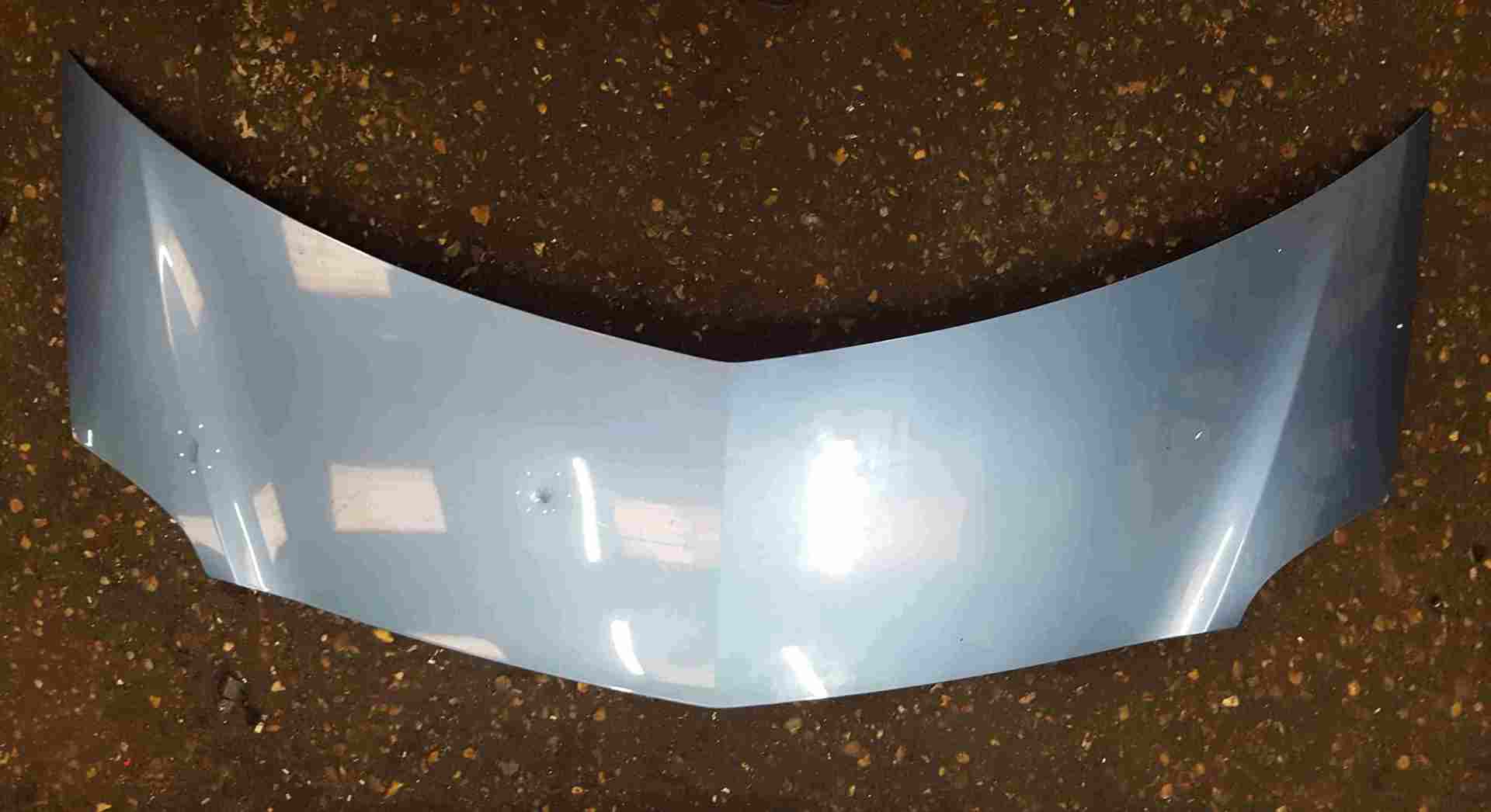 Renault Grand Modus 2008-2012 Front Bonnet Blue TERNL