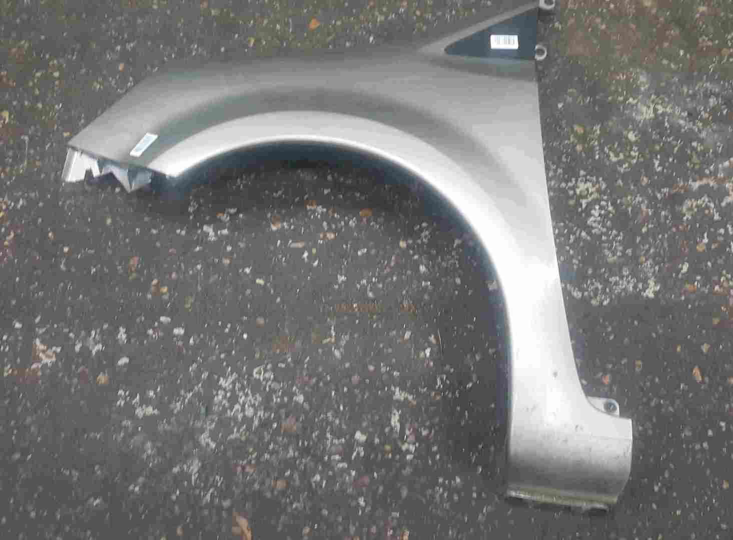Renault Grand Modus 2008-2012 Passenger NS Wing Gold Beige TEHNK 8200098309