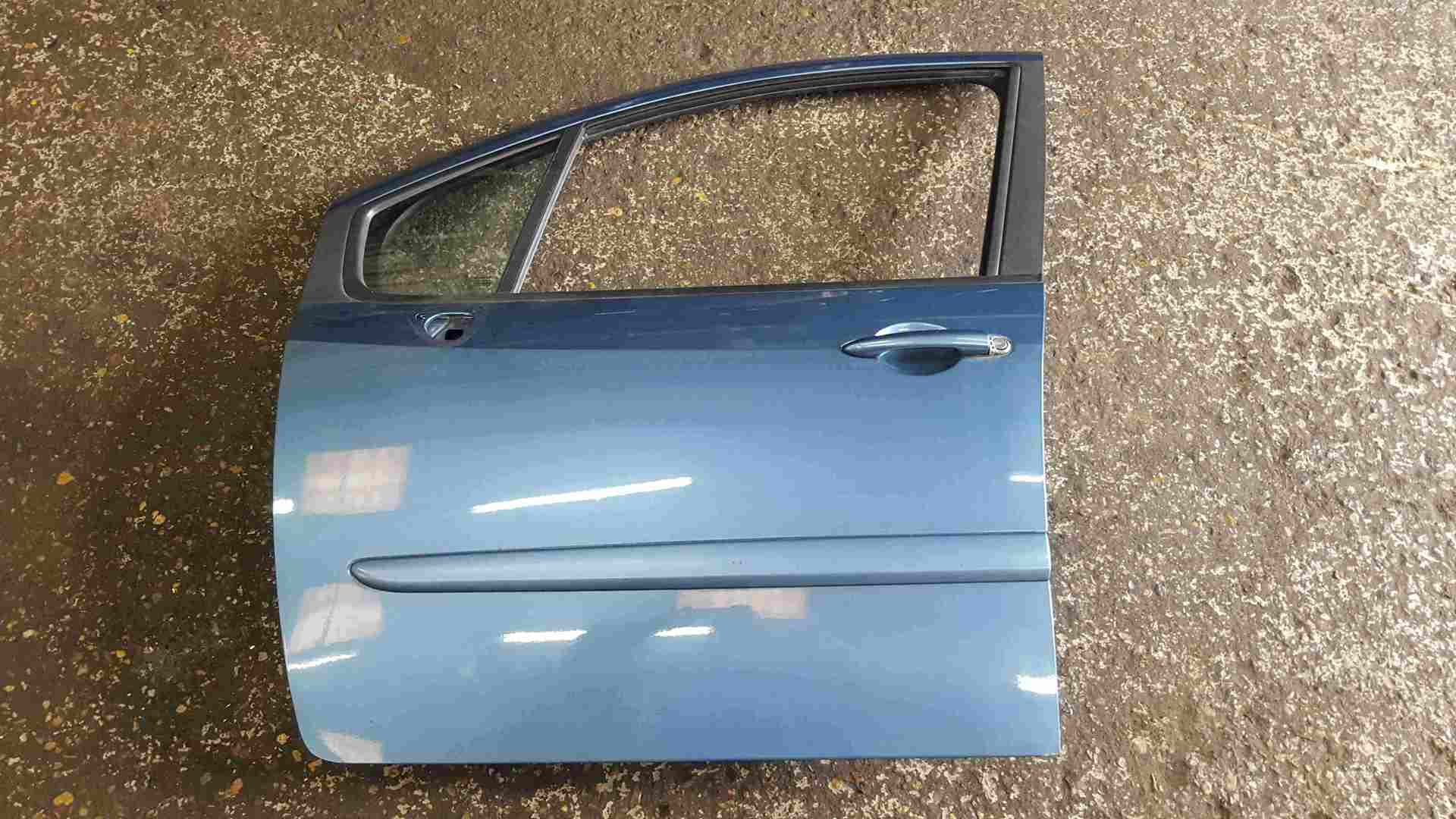 Renault Grand Modus 2008-2012 Passenger NSF Front Door Blue TERNL