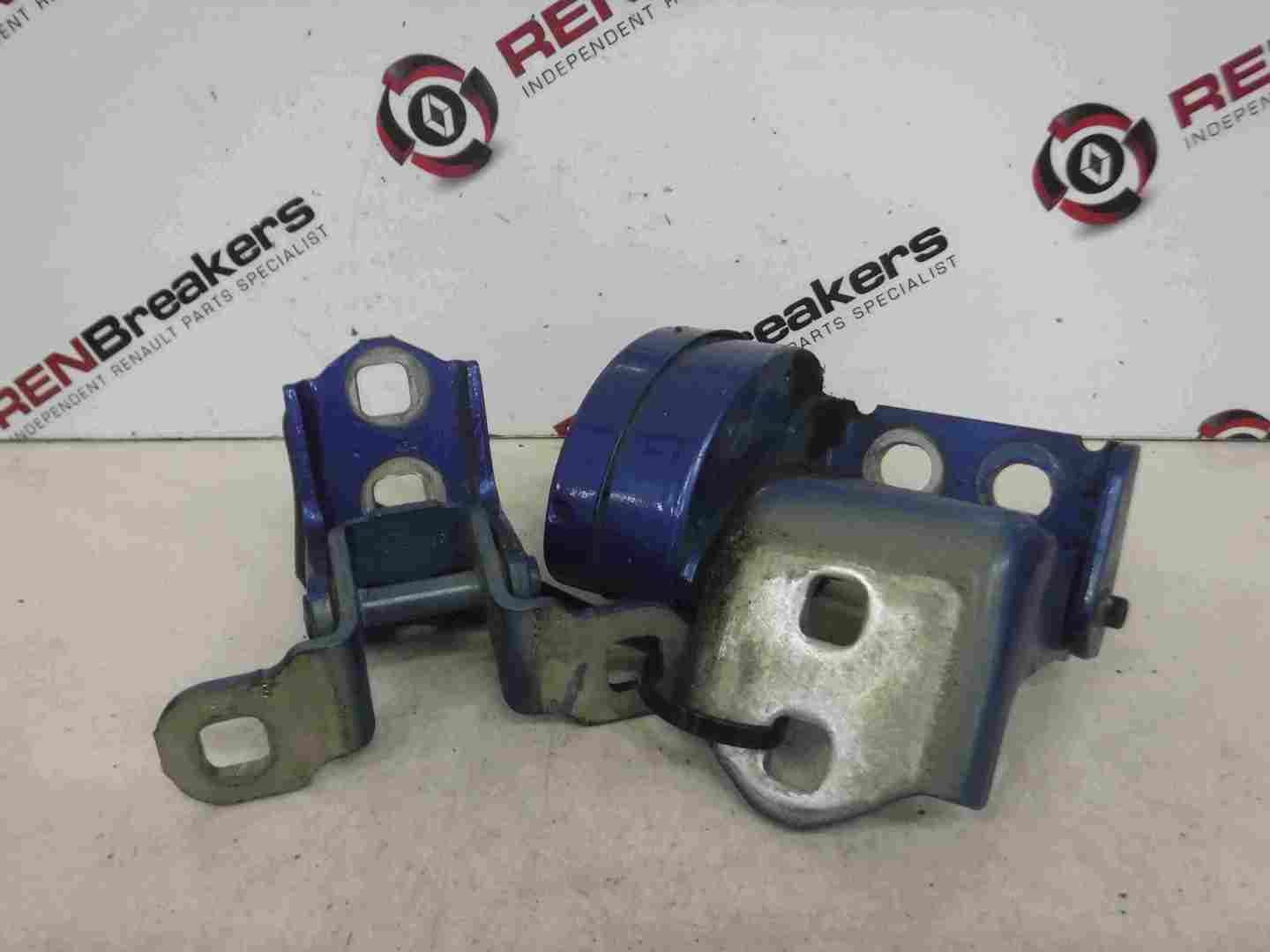 Renault Grand Scenic 2003-2009 Drivers OSR Door Hinges Blue TEI45
