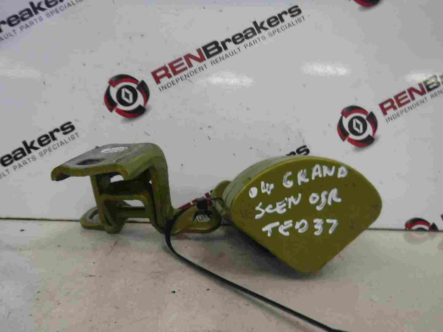 Renault Grand Scenic 2003-2009 Drivers OSR Rear Door Hinges Green TED37