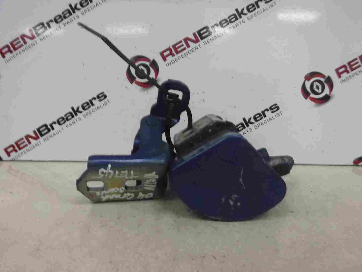 Renault Grand Scenic 2003-2009 Passenger NSR Door Hinges Blue TEI45