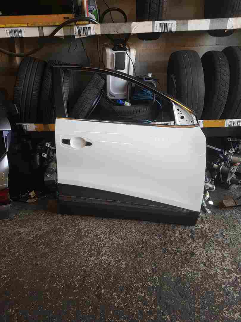 Renault Kadjar 2015-2021 Drivers OSF Front Door White Ov369 369