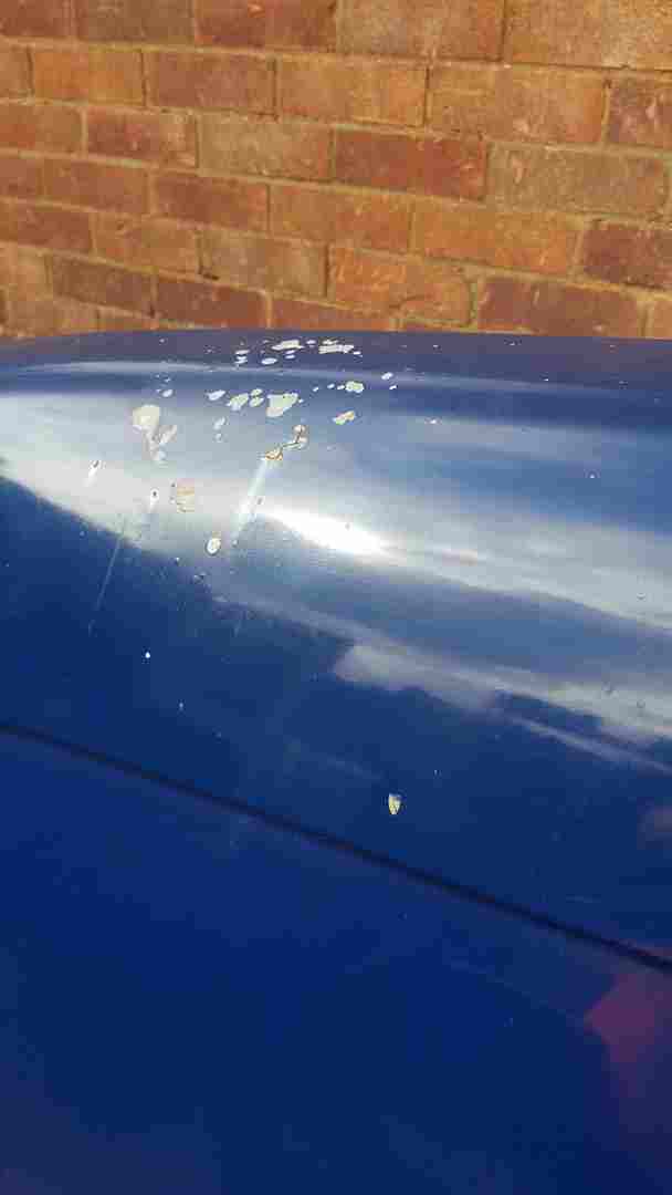 Thumb 3 Renault Kangoo 2007-2013 Passenger NSR Rear Barn Door Blue ORNQ