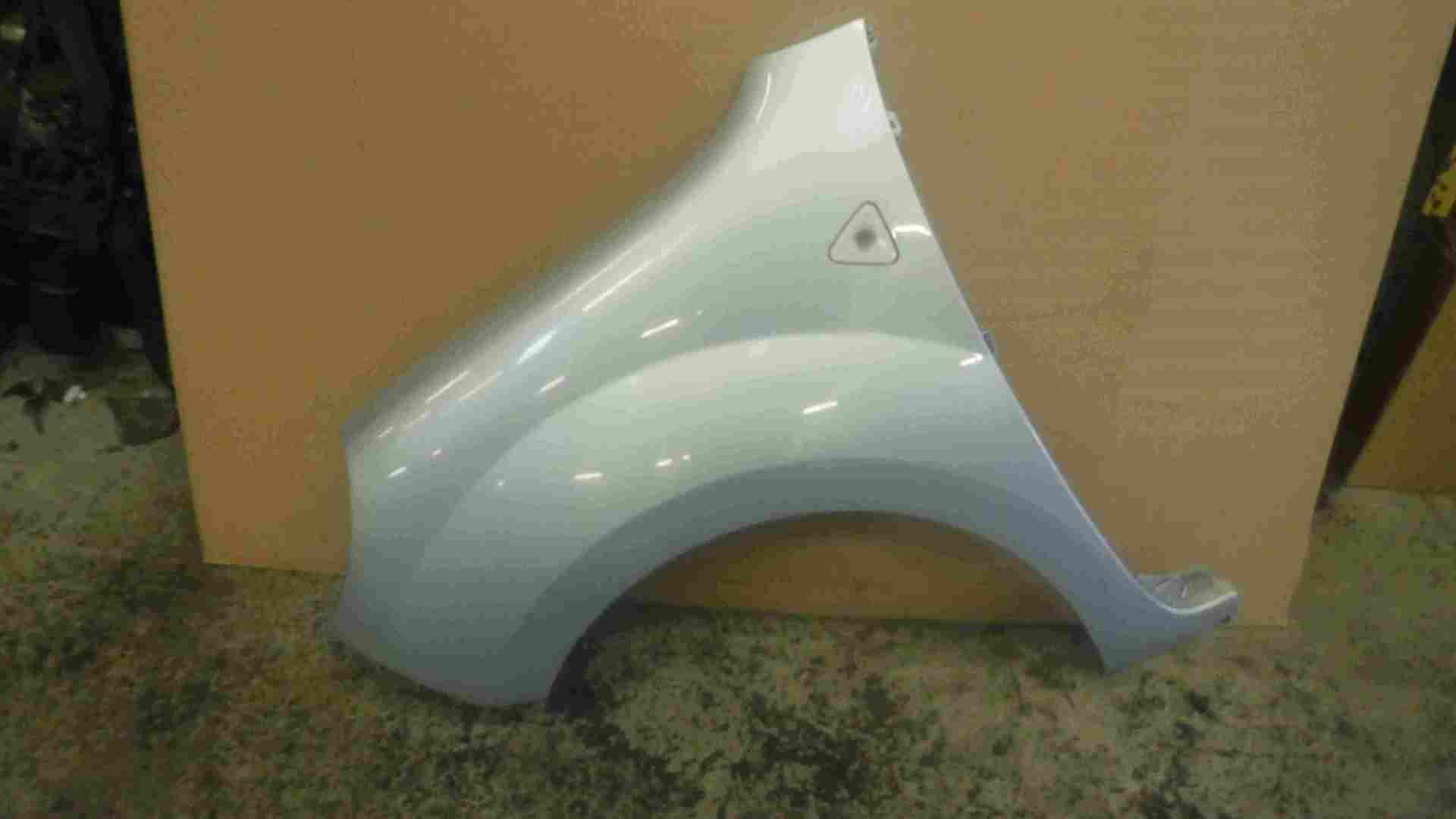 Renault Kangoo 2007-2017 Passenger NS Wing Silver TEB65