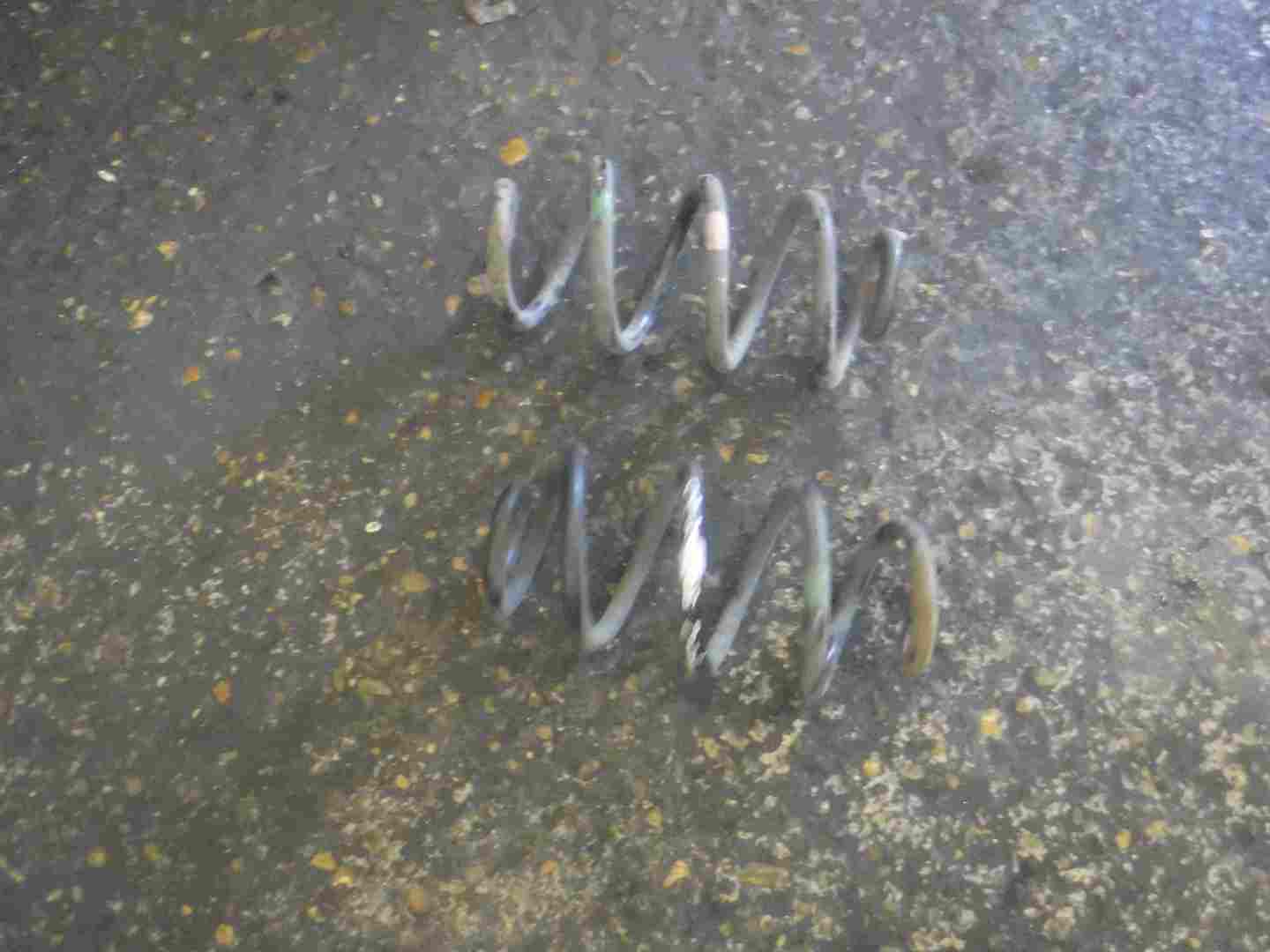 Renault Koleos 2008-2015 Rear Spring Suspension X2 Pair