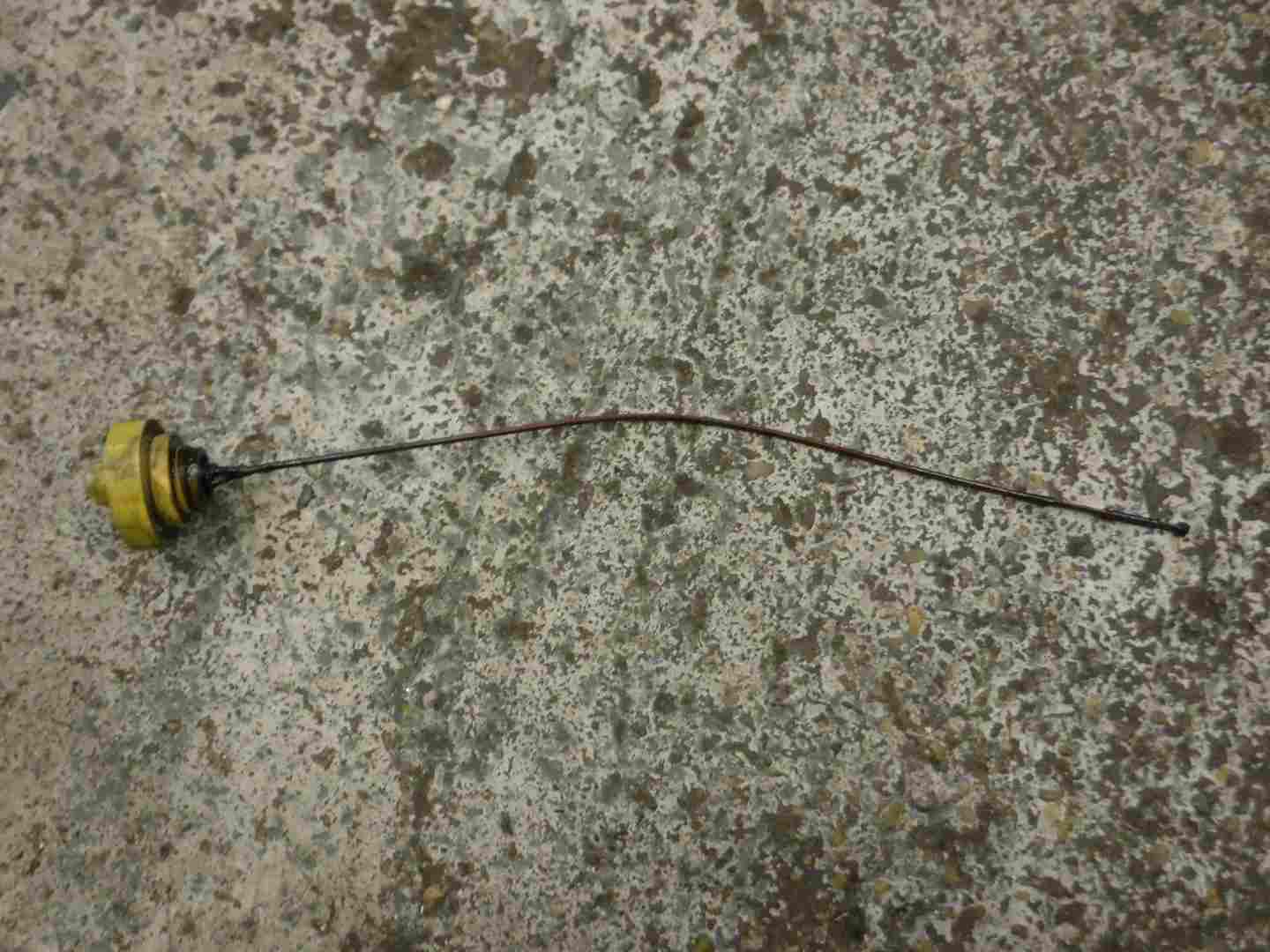Renault Laguna 2001-2005 1.9 dCi Engine Dip Stick