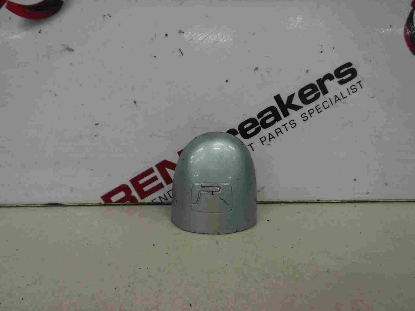Renault Laguna 2001-2005 Passenger NSF Door Bullet Silver Cap TEB64