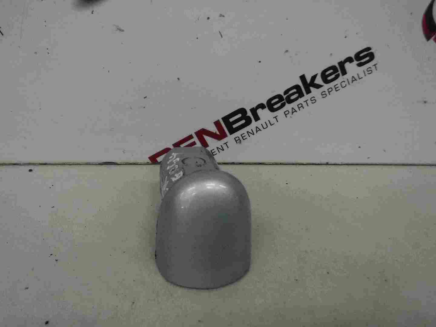Renault Laguna 2001-2005 Passenger NSR Door Bullet Silver Cap TEB64