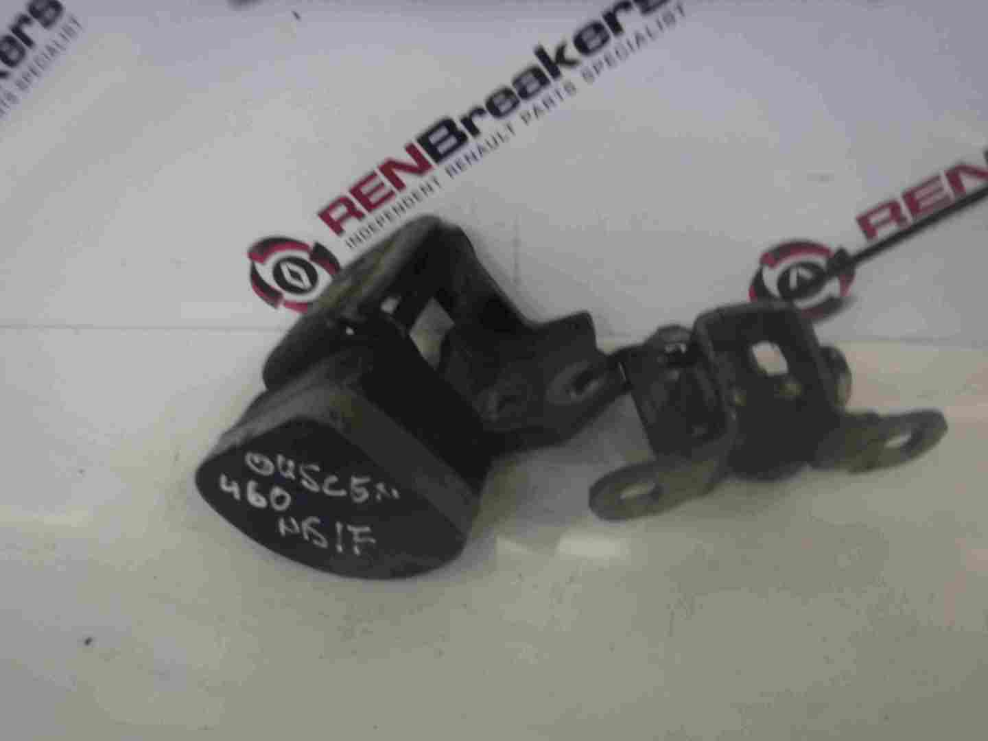 Renault Megane 2002-2008 Drivers OSF Front Door Hinges Blue 460