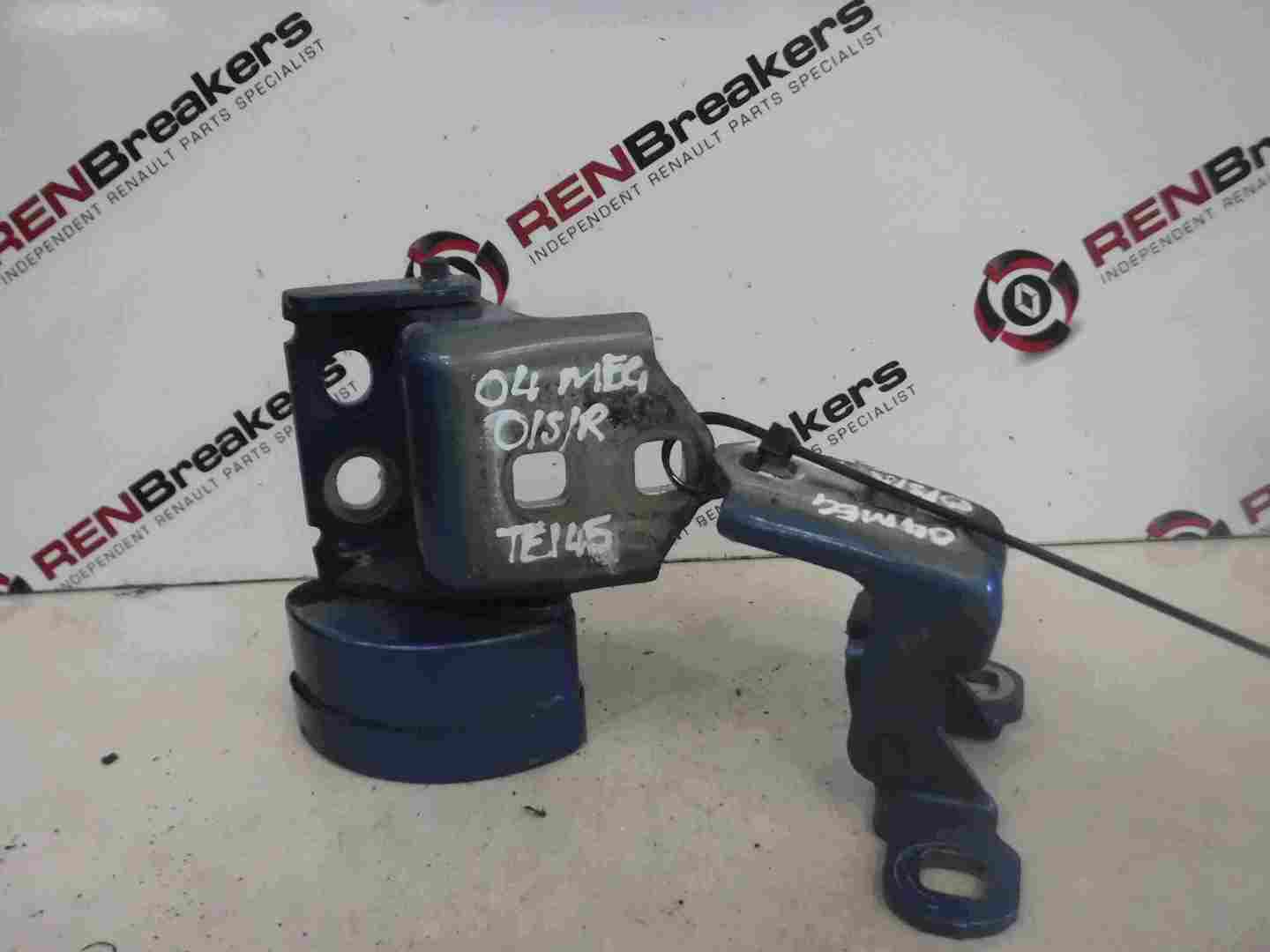 Renault Megane 2002-2008 Drivers OSR Rear Door Hinges Blue TEI45 TE145