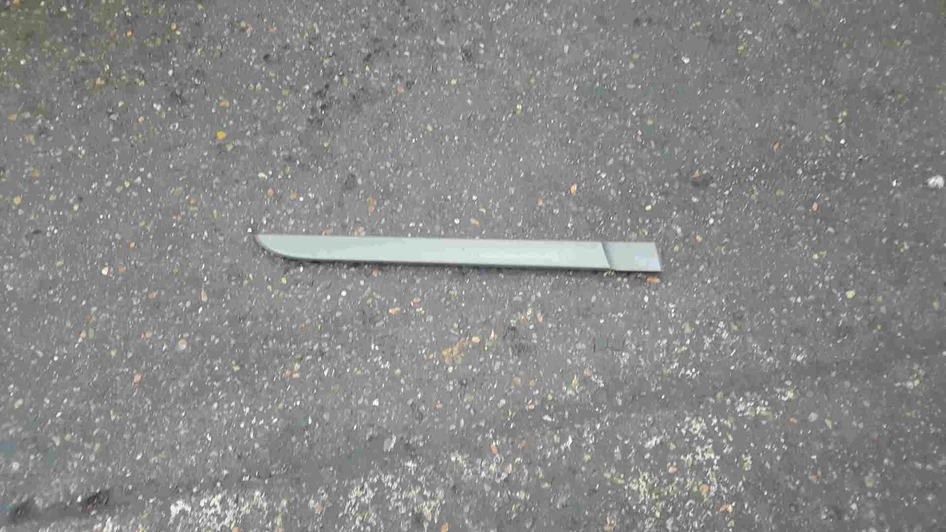 Renault Megane 2002-2008 Drivers OSR Rear Door Moulding Silver Grey 5dr