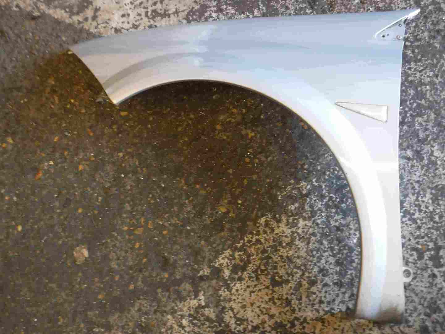 Renault Megane 2002-2008 Passenger NS Wing Silver TEA19