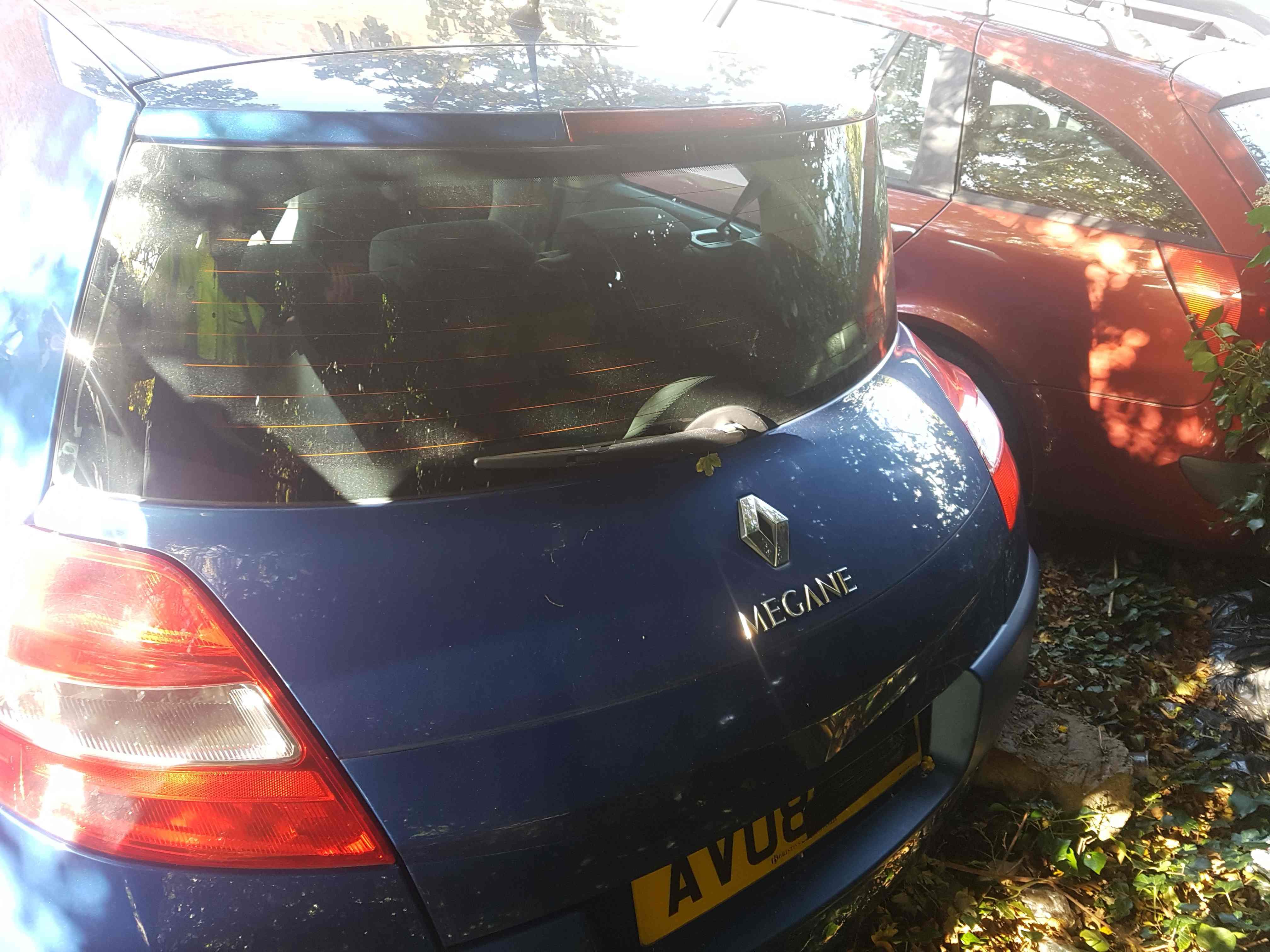 Renault Megane 2002-2008 Rear Tailgate Boot Blue Terna